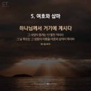 작전유도 Daum카페