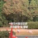 문원청계길 39-14 | 과천서울대공원/랜드 주차 및 동물원 사자명당?!