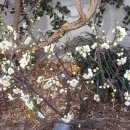 삼인요양병원 이미지