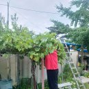 진원농장 이미지