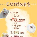 EP.1 강아지를 위한 펫시피북 🐶