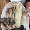 뽕잎사랑 - 금천구 금하로 639 | 안양 샤브샤브 예술공원 맛집, 뽕잎사랑 버섯 스페셜 후기