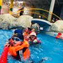 상록태권도 이미지