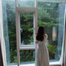 상운카서비스 | 여름휴가기록#1 동호해변/상운메밀촌 육개장칼국수/엄지네포장마차 꼬막비빔밥/동화가든 짬뽕순두부...