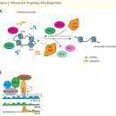 Re: 전이 능력 과정.. 유전적(genetic) 변화와 비유전적(non-genetic) 재프로그래밍 이미지
