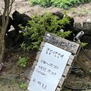 스시마씸월정점