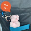 포토덤프2/6주] 2개월 차 캐럿의 삶(캐럿 스테이션 후기, 세븐틴 스트리트 예매, SEVENTEEN RIGHT HERE...