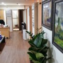 태평안마원 이미지