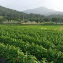 나주호농장 이미지