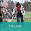 호선실버센터 이미지