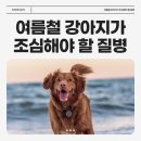수색동물병원 이미지