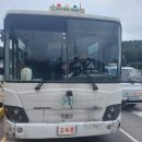 (주)홍성자동차운전전문학원 | 철원자동차운전전문학원 후기🚗 3일 만에 면허취득! 넓고 쉬운 도로에서 여유롭게 배우기