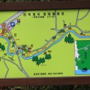 제주 안덕계곡 상록수림 이미지