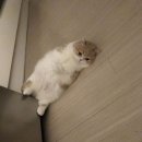 청담보쌈 이미지