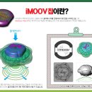 두드리는 마사지기 ( 뱃살빼는 톡톡이) 이미지