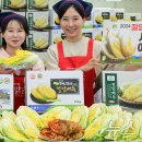 조공화원 이미지