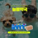 늘봄약국 이미지