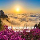 알파세무회계사무소