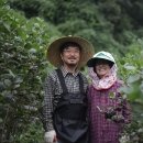 괴산친환경아로니아농원