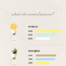 [내향인 서포터즈4기] 메튜장 향수 전종 챕터별 솔직리뷰