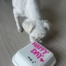 멍꾸기상점 이미지