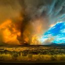 켈리포니아 이미지