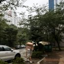 풍암탑내과의원 | [임신27주차]임당확진, W여성병원광주, 풍암탑내과