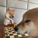 청학로132번길5 | 2025 남양주시 청년 여행크루: 남양주 카페 추천 🚶🏻‍♀️🚶🏻‍♀️☕️💭