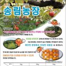 점리농장 네이버블로그