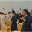 천주교성바오로딸수도회 이미지