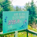 전일고등학교 이미지