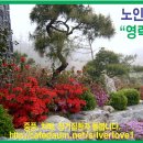 영락원