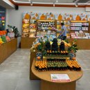 우진풍력 | 1박 1일 제주여행- 돌하루팡(제주카카 렌트카), 픽업카페, 우진해장국, 금능해수욕장, AMA, 마농갈비