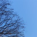 덤디자인서울 이미지