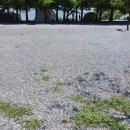 호반오토캠핑장 이미지