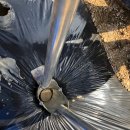 선동농장 이미지