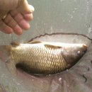 무태낚시터 이미지