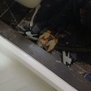 원진아파트 | 누수, 배관 관련 문제들 이제는 고민 없이 연락해 보세요. &#39;누수탐지변기하수구막힘뚫는업체 원진설비&#39;