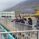 석동정수장 이미지