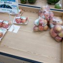 룰루베리팜 이미지