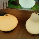 2025 서울리빙디자인페어 2일간 관람 후기
