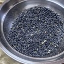 날씨누리 예보입니다 ❤️ 이미지