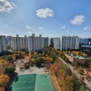 벽적공원 이미지