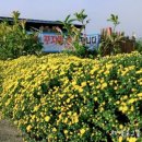 물레방아농장2 이미지