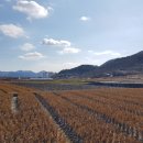 명암지석묘군 이미지