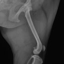 부천준동물병원 이미지