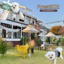 3002 | 명지 애견동반 대형카페 포레스트3002