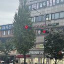 신한은행 불로점 앞 맞은편 횡단보도 | 잠실 쑥뜸명가 본점 방문 후기 + 주변 가성비 생선조림 추천