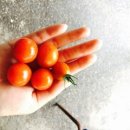 산울림민박 이미지