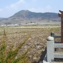김지홍 이미지